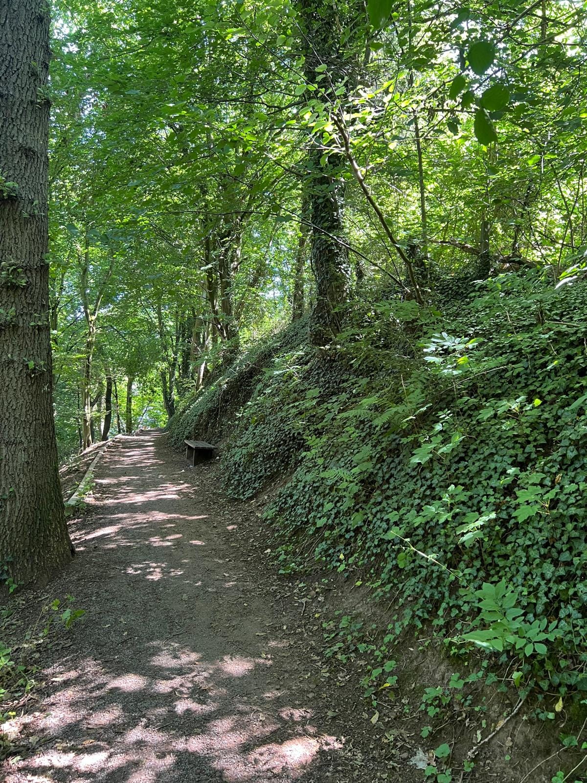 Philosophenweg